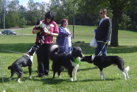 Making new friends at the picnic!